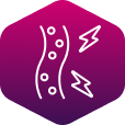 Herz und Kreislauf: Arteriosklerose Herz und Kreislauf: Arteriosklerose