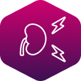 Nierenschädigungen bei Diabetes Typ 2 - Icon Nierenschädigungen bei Diabetes Typ 2 - Icon