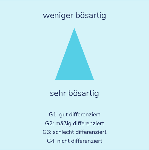 01-02-Arten-Stadien-Section-9.png