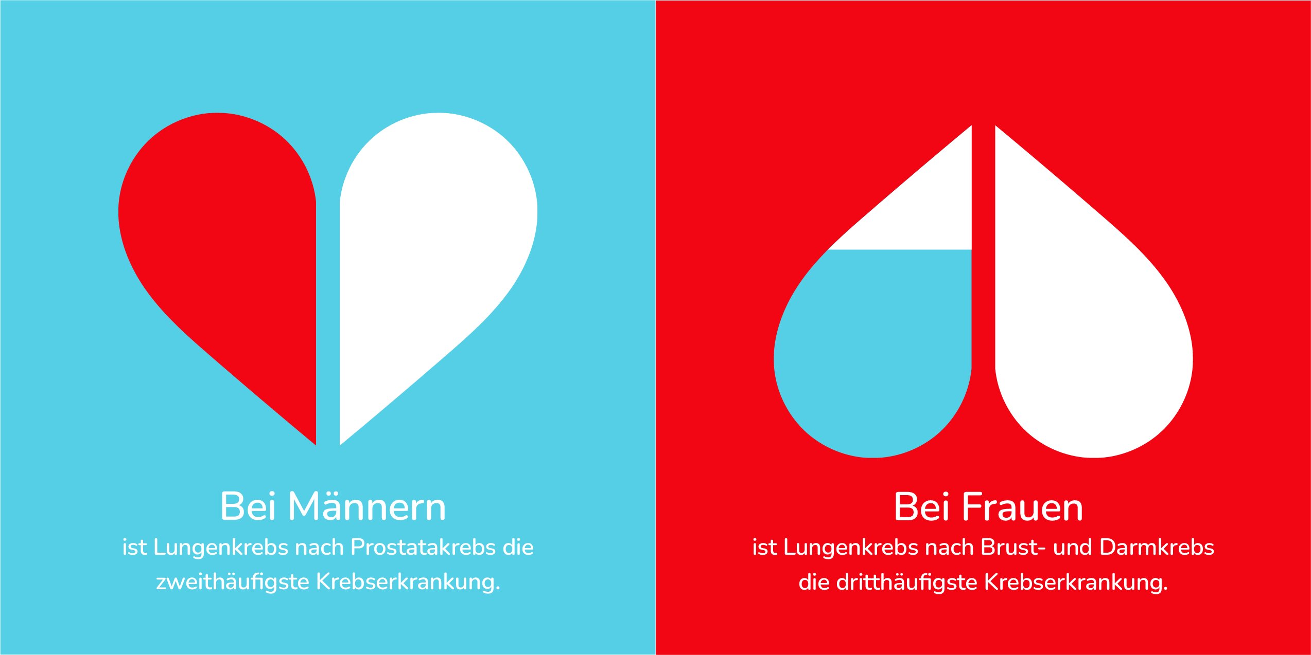 Infografiken_01-01_Was-ist-Lungenkrebs_Section12.png