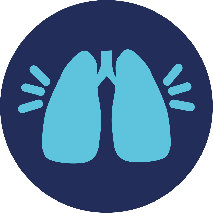 240429_01__Icon_Art-des-Lungenkrebses.png