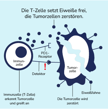 03-06-immuntherapie-02-350x350.png