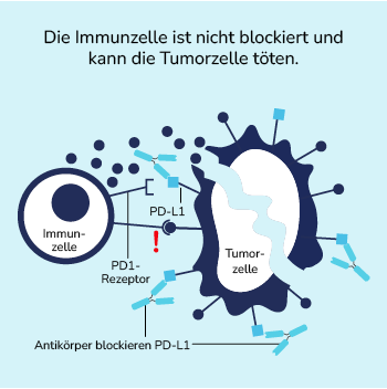 03-06-immuntherapie-04-350x350.png