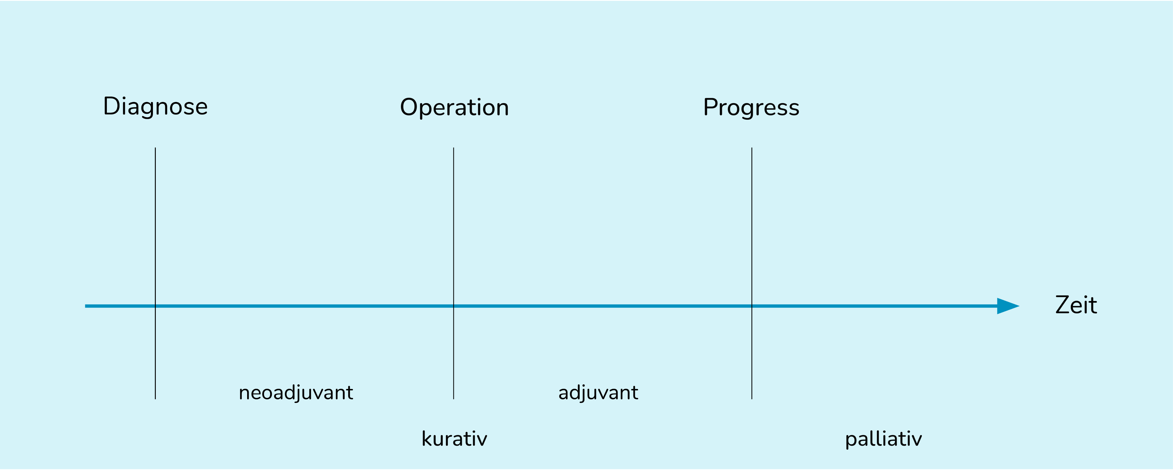 03-01_neoadjuvant-adjuvant-Therapien-Zeitstrahl.png