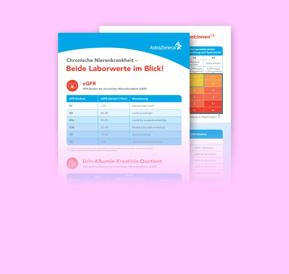 img3x.webp img3x.webp