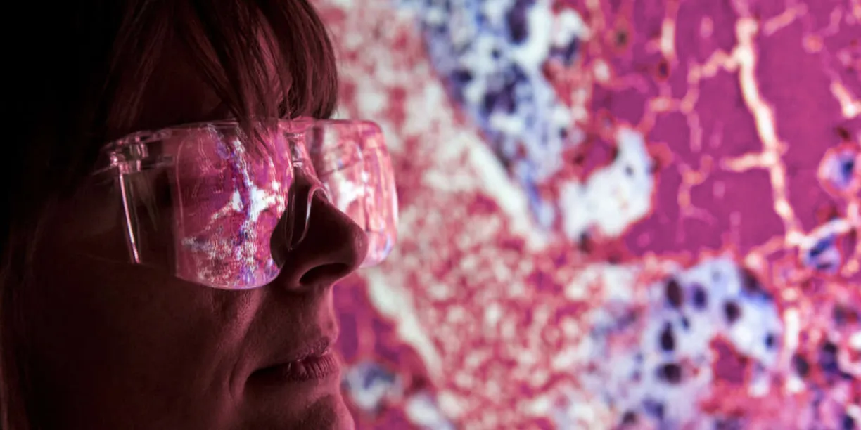 image.webp image.webp