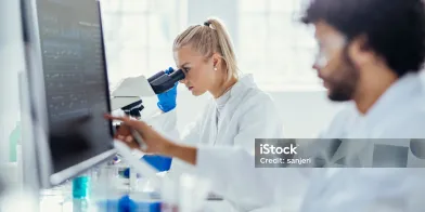 image.webp image.webp