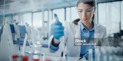 image.webp image.webp