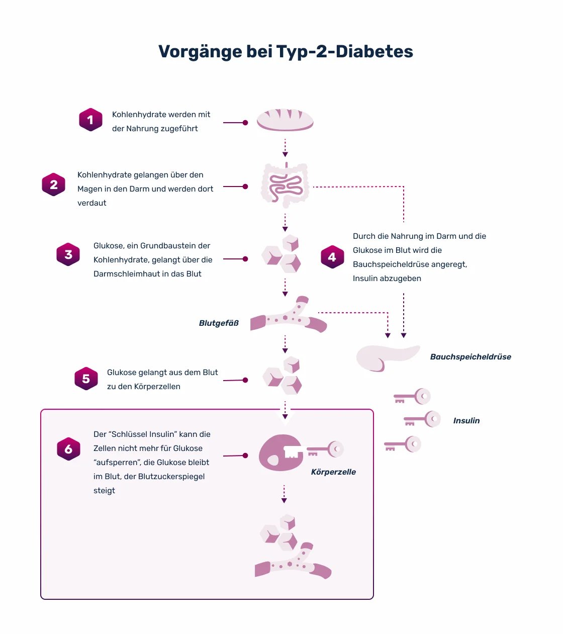 Blutzucker und Zuckerstoffwechsel Vorgänge bei Diabetikern mit Diabetes Typ 2 Blutzucker und Zuckerstoffwechsel Vorgänge bei Diabetikern mit Diabetes Typ 2